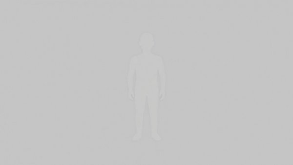 Gray silhouette icon of a person.