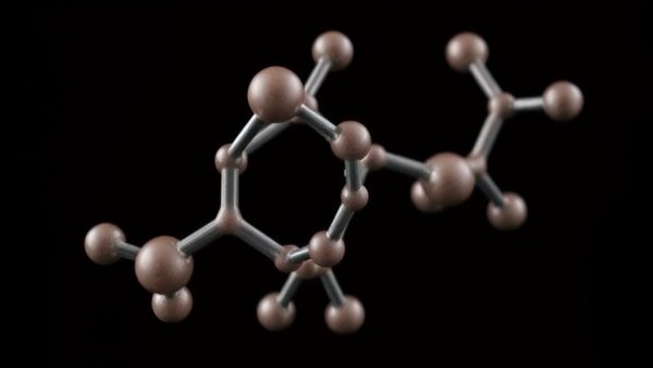 Molecule From Chocolate Linked to Slower Epigenetic Aging