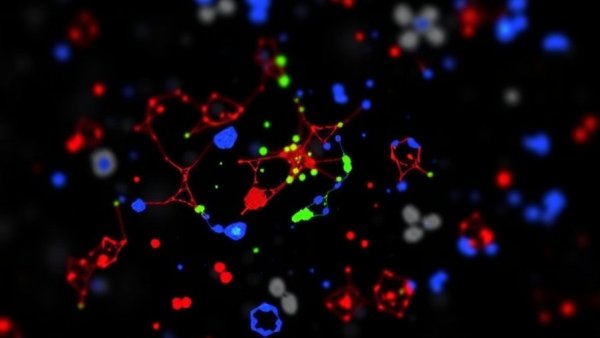 The transcription factor HHEX maintains glucocorticoid levels and protects adrenals from androgen-induced lipid depletion