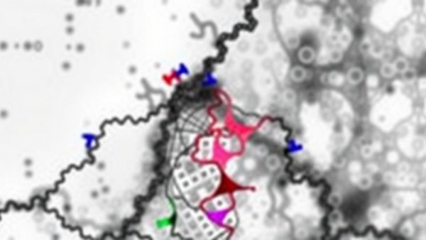 VPS26A retromer complex and SNX27 mediate stress-induced Golgi bypass of membrane proteins