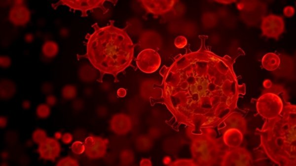Granulocyte differentiation arrest in HAX1-deficient cells, demonstrated in a new in vitro model of a certain phenotypic aspects of Kostmann disease, is caused by ineffective lipid droplet autophagy and fatty acids uptake