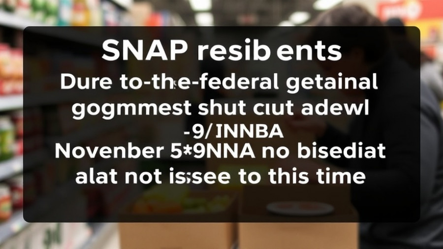 Message to SNAP recipients: ‘Due to the federal government shut down your November SNAP benefits will not be issued at this time'