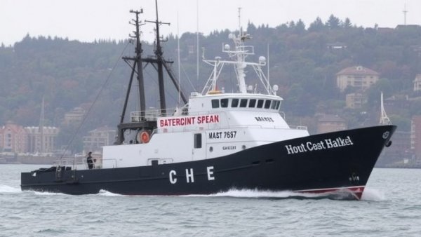 House and Senate launch inquiries into reported second strike on alleged drug boat