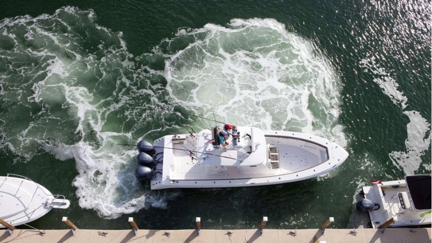 Professional Captain Services Tampa Bay