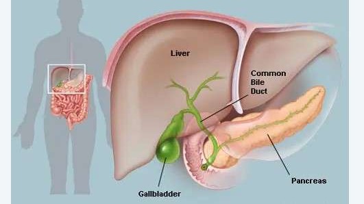 7 signs of liver failure listed on dark background
