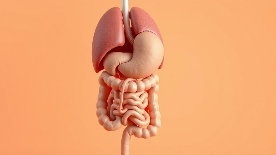 Anatomical model of the human digestive system promoting mental wellness for seniors.