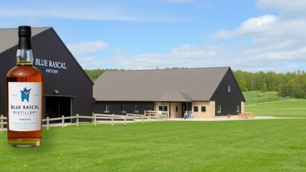 Blue Rascal Distillery: Hammonton's Fruitful Spirits