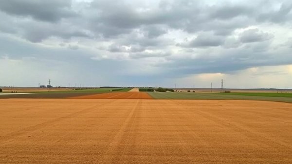 Open farmland in Rio Grande Valley, potential data center site.