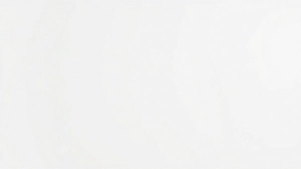 Blank white image suggesting empty space.