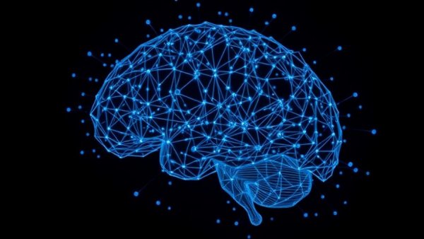 Digital brain model with interconnected nodes illustrating how alertness influences visual processing.