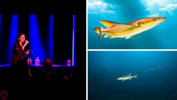 6 events happening in the Austin area this weekend: live comedy, kids night out and fishing