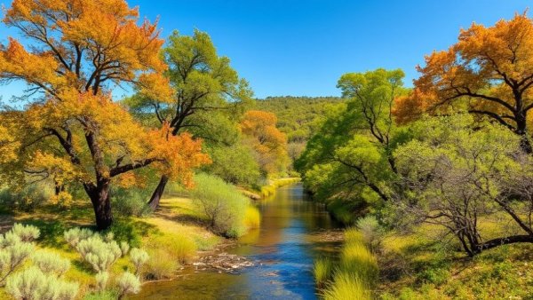 Proposed high-voltage power line in Texas Hill Country sparks pushback.