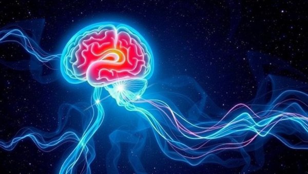 Stop the brain rot! 12 ways to stay sharp in a mind-frazzling world