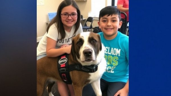 Plano rallies, raises money for 5th grader's $14,000 service dog Oreo