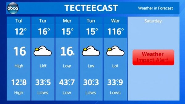 Houston weather alert 7-day forecast with temperatures and conditions.