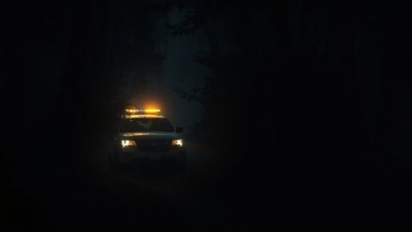 Police car at nighttime investigation in dark wooded area