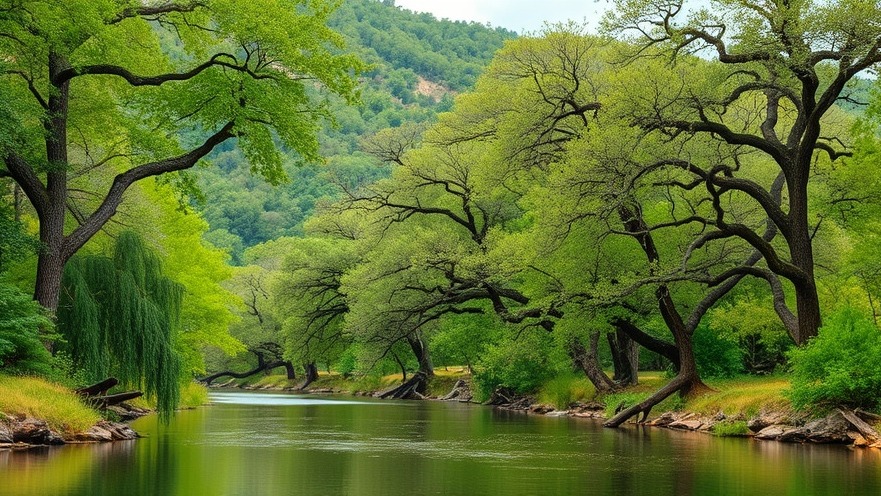 Lush Texas Hill Country along the Guadalupe River, showcasing Texas flash floods impact.