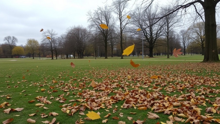 Austin rain forecast shows a windy, cloudy day at the park with blowing leaves.