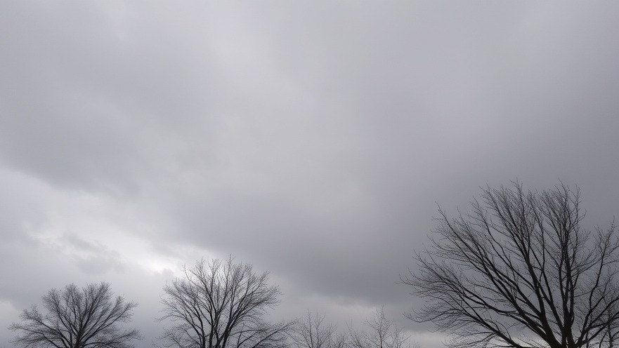 Overcast cloudy day in Austin, capturing a moment of austin news today.