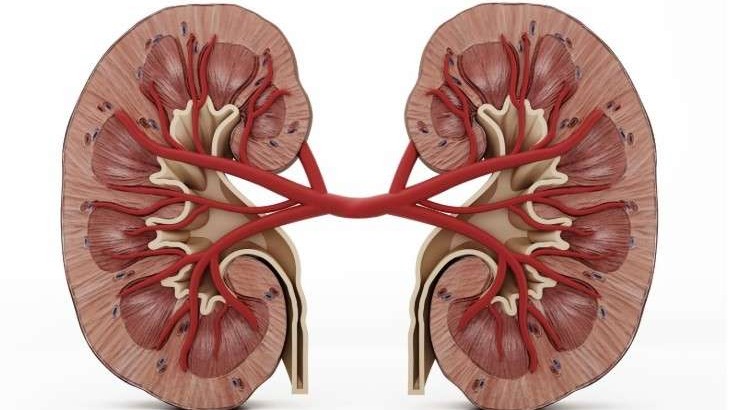 List of 18 early signs of kidney disease on dark background.