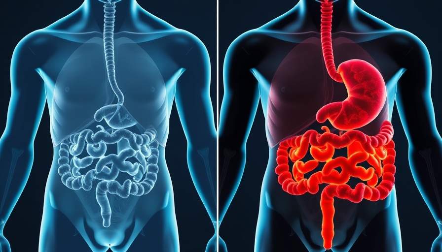 3D illustration showing healthy vs inflamed gut, highlighting hidden inflammation and food sensitivities.