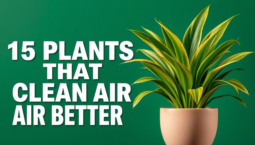Dracaena plant with '15 plants that clean air better' text on green background.