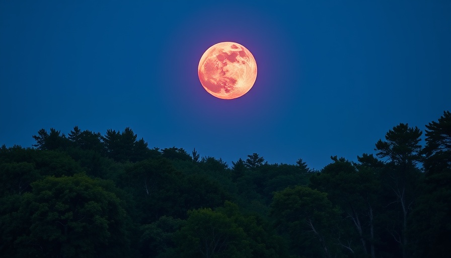 June's strawberry moon spectacle over lush greenery.