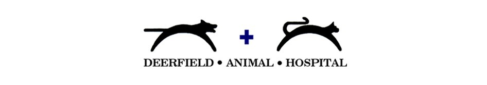 Deerfield Animal Hospital in San Antonio TX