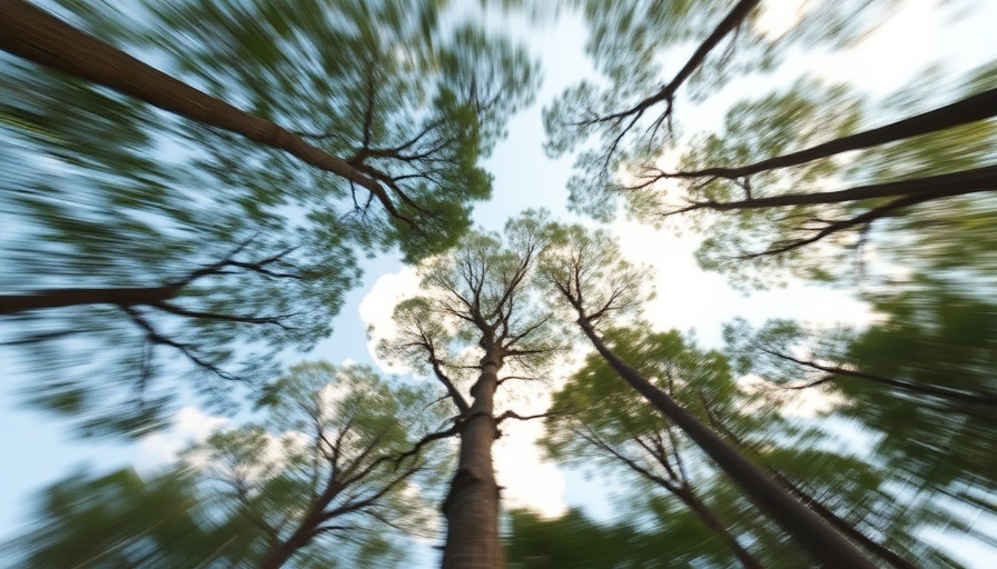 Dizzy viewpoint of spinning trees, evoking imbalance.