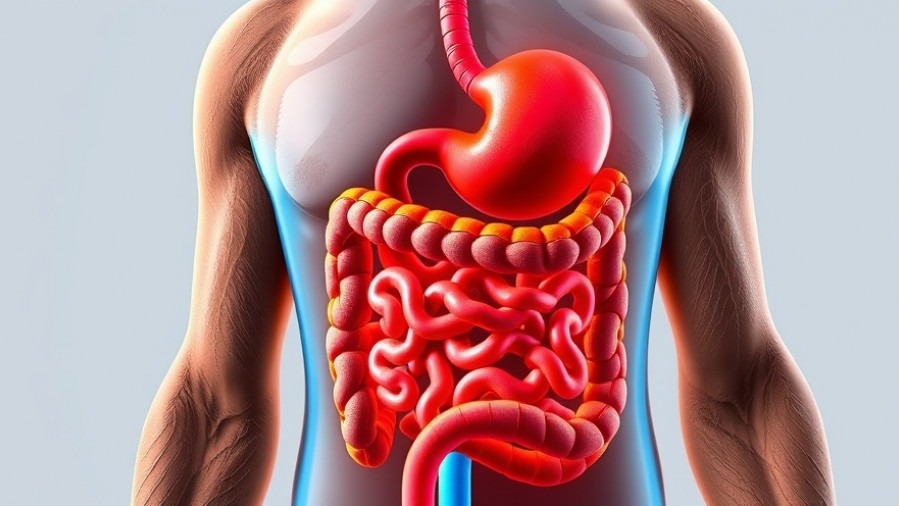 Vibrant illustration of the digestive system highlighting gut health tips.