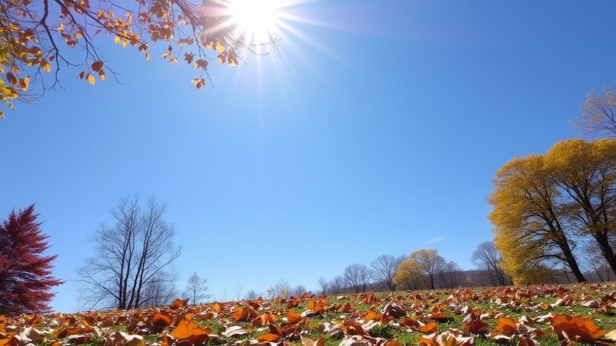 Sunny fall day in San Antonio with colorful leaves on the ground.