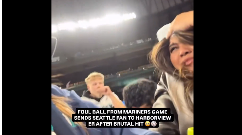Wide-angle view of crowded baseball stadium capturing lively game atmosphere and safety.
