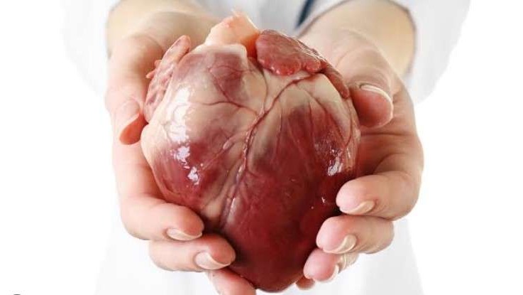 List of bad habits that can destroy your heart health.
