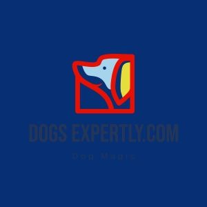 DOGS EXPERTLY.COM